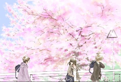 红桃传媒网页版